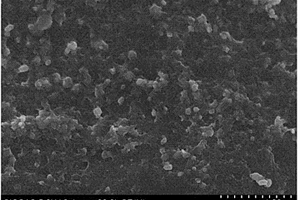 磷酸铁锂/石墨烯纳米复合材料的制备方法
