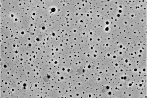 聚乙烯醇-聚乙二醇-海藻酸钠复合材料的制备方法及其应用