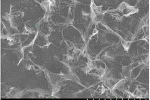 单层氧化石墨烯改性水性聚氨酯复合材料的制备方法