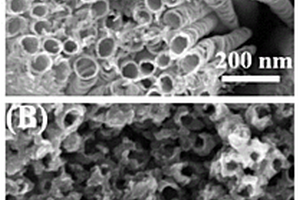 纳米复合材料二硒化钼修饰二氧化钛纳米管阵列的电化学制备方法