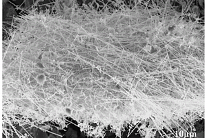 氮化硼纳米片@碳化硅纳米线异质填料及制备方法和环氧树脂导热复合材料及制备方法