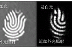 防伪氟化物纳米颗粒复合材料及其制备方法