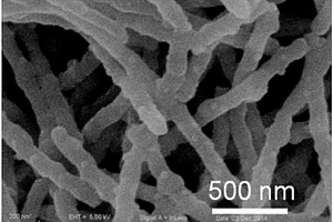 金属钼酸盐/碳复合纳米纤维及其制备方法以及复合材料及其应用