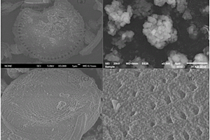 用于吸附过程的微介孔分子筛硅藻土复合材料的制备方法及其应用