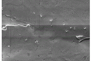 纳米石墨负载石墨烯纳米带改性聚乙烯薄膜的方法