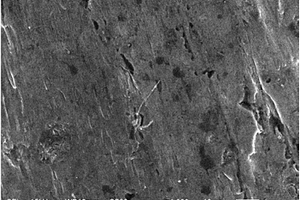 Fe合金/Al<sub>2</sub>O<sub>3</sub>催化剂载体材料的制备方法