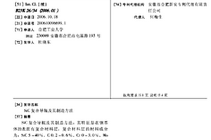 SIC复合导辊及其制造方法