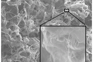 三维多孔石墨烯骨架-单壁碳纳米管柔性复合材料及其制备方法