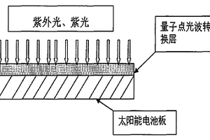 硅基太阳能电池表面量子点光波转换层的制备方法