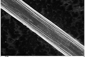 碳纳米管负载碳纤维的制备方法