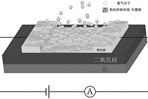 氧化锌纳米线-石墨烯气体传感器及其制备方法