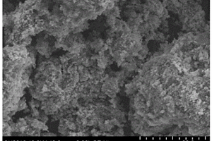 纳米零价铁镍活化过硫酸盐的水处理方法
