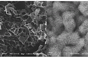 由天然琼脂衍生的氮掺杂多孔碳/二硫化钼复合材料的制备方法及其应用