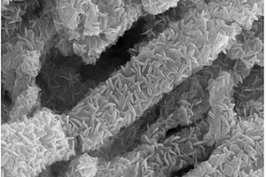 MoS2纳米针/碳纳米管复合负极材料的制备方法
