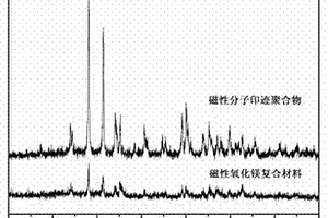 磁性氧化镁表面分子印迹固相萃取剂的制备方法