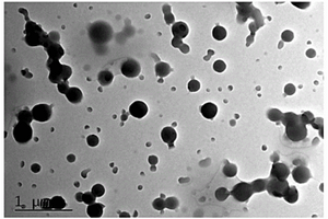 表面脂肪酰化纤维素纳米颗粒/聚乳酸复合膜及其制备方法