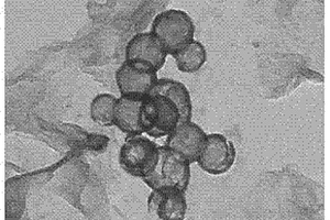 纳米磷酸铁空心球/石墨烯锂离子电池及其制备方法