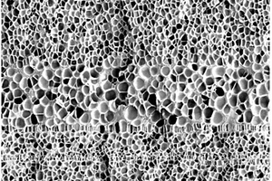 聚合物基密度梯度泡沫材料的制备方法