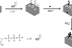 Mxene-磷酸锰复合电极材料的制备及应用