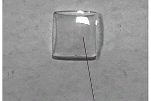 致密无机玻璃掺杂量子点复合材料的制备方法及产品