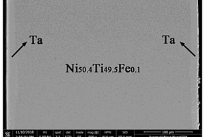 生物医用NiTiFe-Ta复合板材及其制备方法