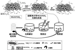 选择性降解真菌毒素的光催化剂、制备方法及其应用