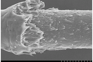 含烷基化石墨烯的耐高温碳纤维上浆剂、制备方法与应用