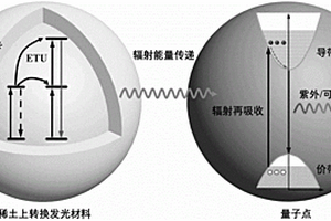 稀土/量子点复合上转换发光材料及其制备方法和应用