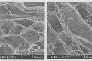 纤维素/大豆蛋白质复合海绵及其制备方法