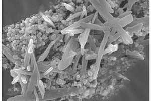 Ni/NiO/Ni<Sub>3</Sub>S<Sub>2</Sub>催化剂及其制备方法与应用