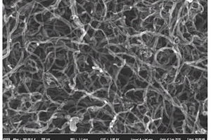 镀镍碳纳米管增强PDMS复合薄膜导电性能的制备方法及其产品