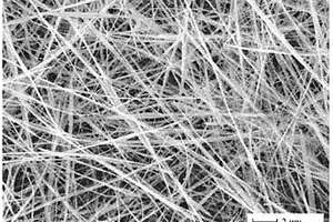 纳米铁纤维的制备方法