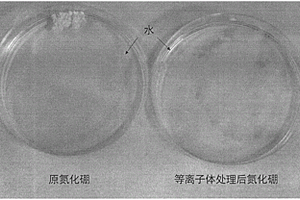 六方氮化硼填料的等离子体改性方法及其应用