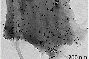 纳米银粒子/木材复合水处理材料及其制备方法