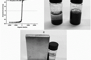 聚乙二醇功能化磁性碳纳米管的制备和应用