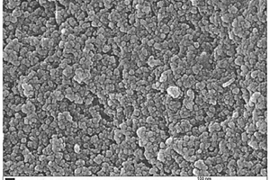 碳包覆纳米过渡金属氧化物及其制备方法