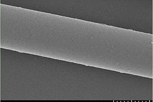 玄武岩纤维表面纳米涂覆多尺度增强体的制备方法及应用
