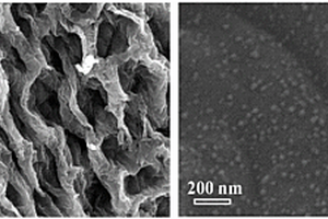具有孔网结构的磷化钼纳米粒子掺杂的生物质碳材料的制备方法