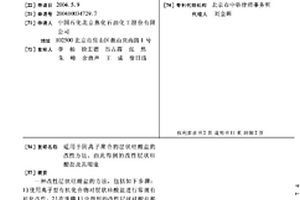 适用于阴离子聚合的层状硅酸盐的改性方法、由此得到的改性层状硅酸盐及其用途