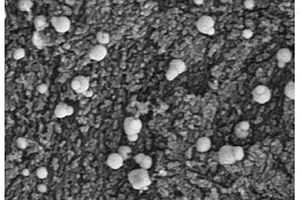 利用无序介孔碳改性纳米零价铁去除水中V(Ⅴ)的应用