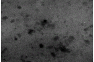 导电聚苯胺纳米复合微波吸收材料的制备方法