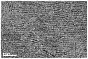 羟基磷灰石负载的四氧化三铁纳米棒及其制备方法和应用
