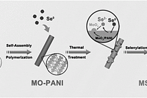 固相共热合成二硒化钼/氮掺杂碳棒的方法