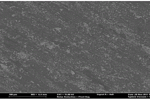 定向化Ti<Sub>3</Sub>SiC<Sub>2</Sub>增强镁基复合材料气缸体及其制备方法