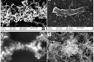 纤维素纳米晶负载纳米零价铁复合材料、及其制备方法和应用