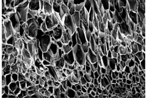 生物降解纳米微孔复合材料及其制备工艺