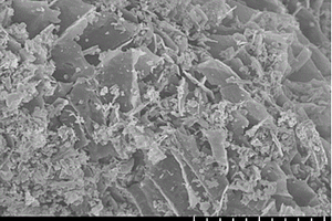 自组装氮化碳-TiO<sub>2</sub>/中空结构生物质炭降解氨氮复合材料及其制备方法