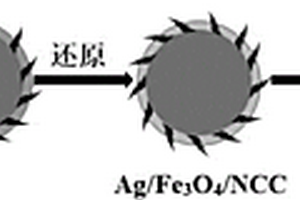Ag/Fe3O4/纳米纤维素三元复合材料及其制备方法
