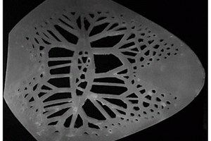 含有机荧光染料的3D打印复合材料与应用
