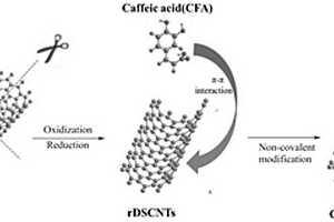 咖啡酸修饰的化学切割碳纳米管自组装复合材料的制备方法及其应用